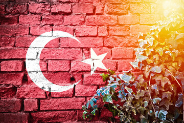 Turkey grunge flag on brick wall with ivy plant sun haze view