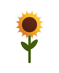 Vector minimalistic sunflower with a gradient on white background.