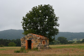 Petite maison de vigne abandonnée au milieu de champs avec un bel arbre la protégeant du soleil...