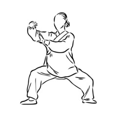Fototapeta na wymiar Vector illustration of a guy performing tai chi and qigong exercises