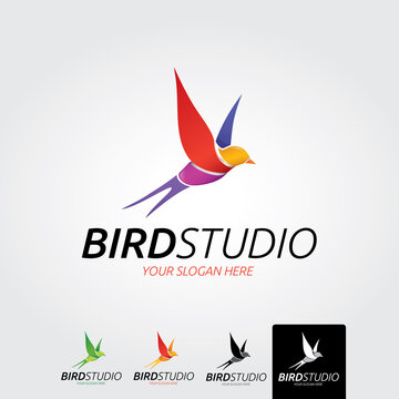 Bird studio logo template - vector