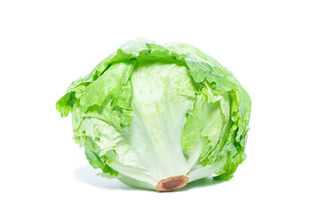 Fototapeta premium Green Iceberg lettuce on White Background
