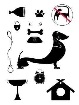 Dog breeding objects silhouette collection for design	