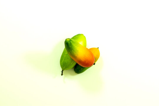 Ivy gourd Coccinia grandis, also known as parval or kundru its found in Asia subcontinent