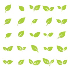 green leaf logo icon vector design and template