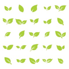 green leaf logo icon vector design and template