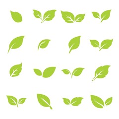 Fototapeta na wymiar green leaf logo icon vector design and template