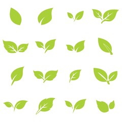green leaf logo icon vector design and template