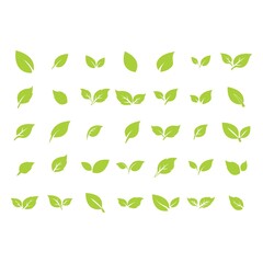 green leaf logo icon vector design and template