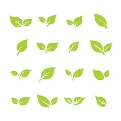 green leaf logo icon vector design and template