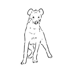 Graphical vintage sketch of hyena ,vector illustration