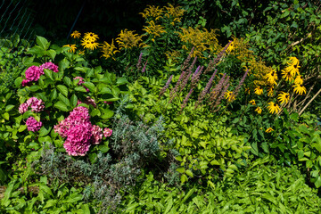 Bauerngarten mit Wiese, Echinacea, Sonnenhut und Hortensie