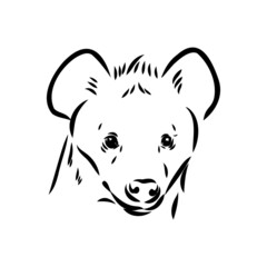 Graphical vintage sketch of hyena ,vector illustration
