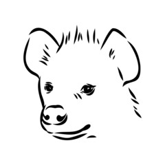 Graphical vintage sketch of hyena ,vector illustration