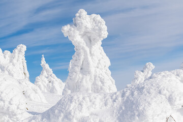 iceberg in polar regions