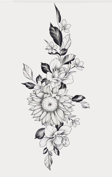 SUn Flower Outline Aesthetic, Beauty Vector, Drawing Sketch, Daisy Gerbera vintage illustration