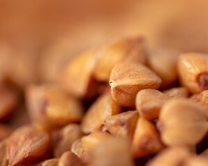 Close-up of buckwheat groats as background.