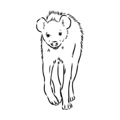 Graphical vintage sketch of hyena ,vector illustration