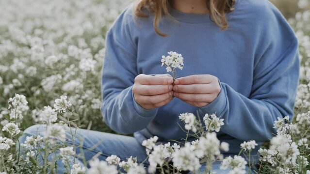 View of female hands holding a white flower in a field of flowers outdoors. Spring summer flower season.
