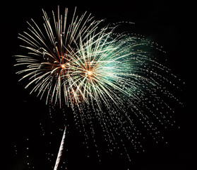 Obraz premium Fireworks in the black sky.