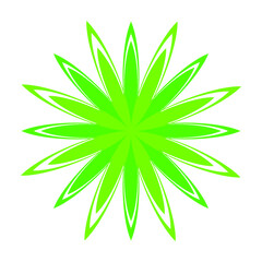 Vector Beautiful Colored Contour Flower, Floral Design Element