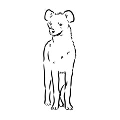 Graphical vintage sketch of hyena ,vector illustration
