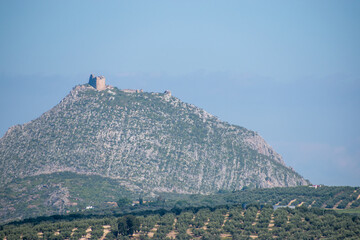 Mountain with ruined castle in Martos Spain. Olive tree plantation in the foreground.