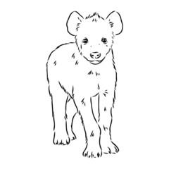 Graphical vintage sketch of hyena ,vector illustration