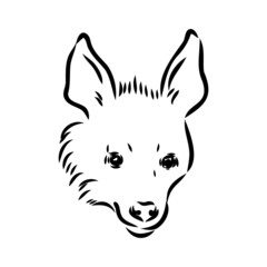 Graphical vintage sketch of hyena ,vector illustration