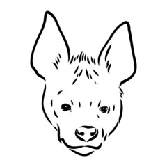 Graphical vintage sketch of hyena ,vector illustration