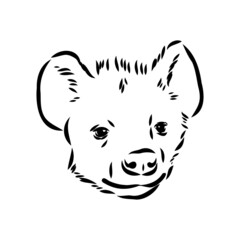 Graphical vintage sketch of hyena ,vector illustration
