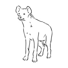 Graphical vintage sketch of hyena ,vector illustration