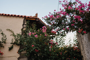 Fototapeta na wymiar schöner floraler ausblick im Urlaub, Steinhaus, Reisen in Griechenland Kreta