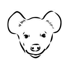 Graphical vintage sketch of hyena ,vector illustration