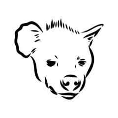 Graphical vintage sketch of hyena ,vector illustration