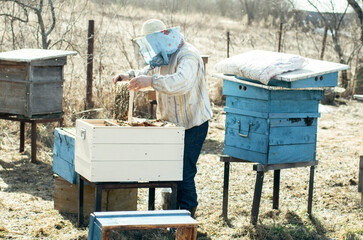 Fototapeta na wymiar Work at the apiary. Breeding bees. Honey extraction.