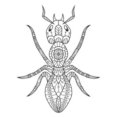 Ant mandala zentangle illustration in lineal style coloring book