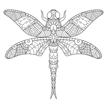 Dragonfly mandala zentangle illustration in lineal style coloring book
