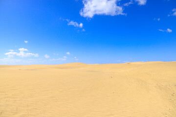 Fototapeta na wymiar Maspalomas Dunes, Gran Canaria, Spain 