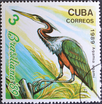 Cancelled postage stamp printed by Cuba, that shows Agami Heron (Agamia agami), circa 1989.