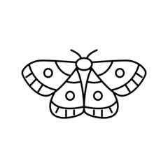 Fototapeta na wymiar moth insect line icon vector illustration
