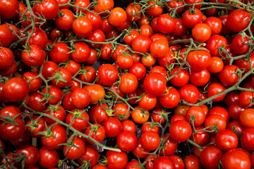 Detail of the Regina tomatoes typical of Puglia (Italy)
