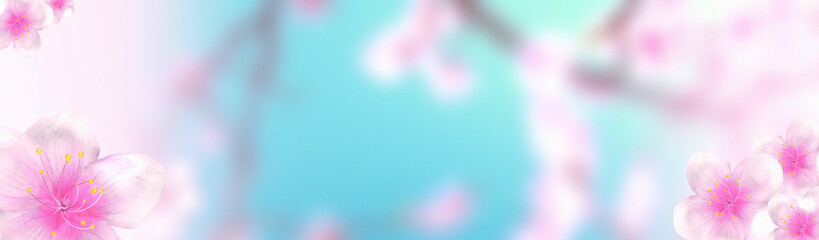 panoramic sakura cherry blossoms 234x60 size website half banner background. 3D Illustration Clip-Art with Floral spring design and copy space in pink, white and turquoise