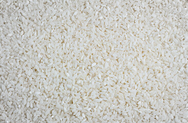 close up shot of the rice background. raw rice for pilaf. white on white, selective focus. Texture, background, abstraction, white on white