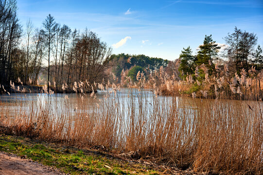 Idyllische Uferlandschaft am Rothsee im Fr&auml;nkischen Seenland bei Roth, Allersberg