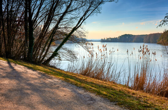 Sonnige Uferlandschaft am Rothsee im Fr&auml;nkischen Seenland bei Roth, Allersberg