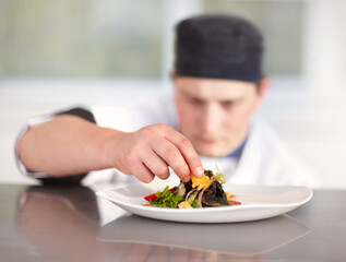 I do everything to perfection. Young chef putting the final perfect touches to his superbly...