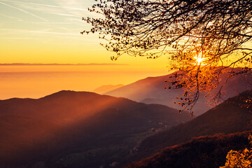 Naklejka premium bright orange winter sunset in the mountains with a branch of a tree