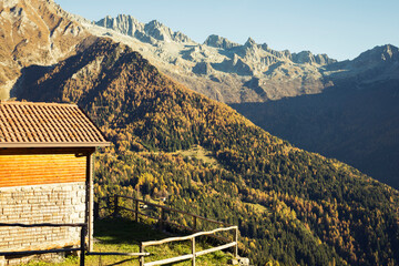 autumn view of a sunny day from a hut in the mountains