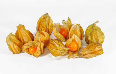 Physalis